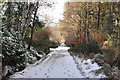 Minor road near Reelig Glen