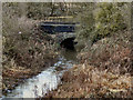 Middle Brook, Mill Bridge