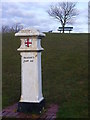 Tattenham Corner, Coal Tax Post