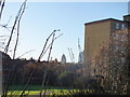 View of the Gherkin from Ion Square Gardens