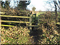 Stile and sleeper bridge over ditch