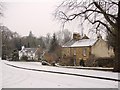 NZ1564 : Cottages on north side of the Village Green, Ryton by Andrew Curtis