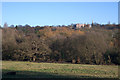 Witanhurst House from Hampstead Heath