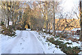 Access road to Dungrianach