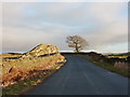 Outcrop of millstone grit northwest of Four Lane Ends