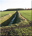 TF3617 : Ditch draining fields south of South Holland Main Drain by Evelyn Simak