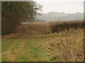 Fields near Henley Farm