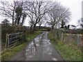 Muddy lane, Dunmullan