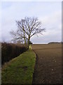 TM3468 : Segmore Lane Footpath to Mill Road by Geographer