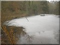 Ice on pond, River Frome