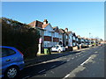 Houses in Pansy Road