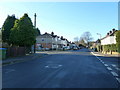 Staggered crossroads: Pansy Road, Honeysuckle Road and Dahlia Road