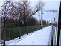 Carntyne railway station