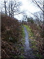 Footpath in Priestley Clough