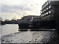 The Thames foreshore at the outfall of the Duke of Northumberland