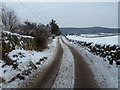NX8555 : Laneway off A710 near Rock Cottage, Colvend by Anthony O'Neil