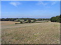 Farmland, Bentworth