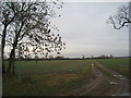 Footpath to Kirton Road