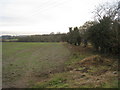 View towards the River Eau