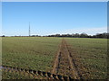 Footpath to Boyington Court