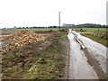 Sugar beet by Ford Farm