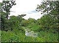 Stream near the High Street, Old Woking