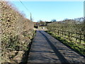 Bridleway approaching Juppland Farm at Adversane