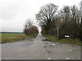 TM0491 : Leys Lane near Hill Farm by Alex McGregor