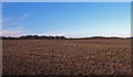 Stubble Field near Meiklefield farm