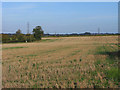 Farmland, Farringdon