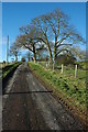 Road to Pauntley church