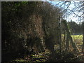 Footpath on Hoad Road