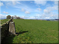 Trig point on Selkirk Common