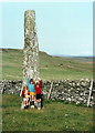 Standing stone near Ballinaby