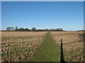 Footpath towards Ellinge House