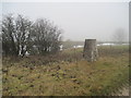 Trig  Point  and  disused  Pit