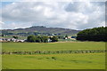 Auchterhouse : Looking towards Kirkton of Auchterhouse from North Dronley