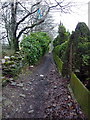 Footpath west of Owl Hall, Plantation Road, Accrington