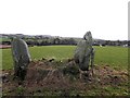 Twin standing stones, Crew Lower