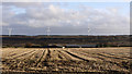 Stubble field and South Shields Farm