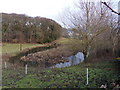 Water fence