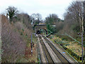 Chingford Branch from East Avenue