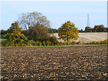 SP7704 : Farmland, Bledlow by Andrew Smith