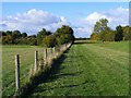 Grassland, Saunderton