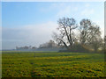 Pasture, Longwick