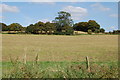 Bredbury and Romiley : Goyt Valley