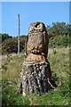 Bredbury and Romiley : Owl Sculpture