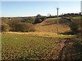 Field north of Tisbury