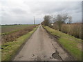 Tindale Bank Road looking west