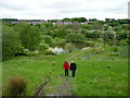 Pond in shrubland near the River Dove 